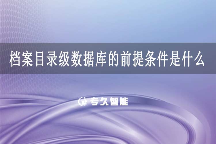 檔案目錄級(jí)數(shù)據(jù)庫的前提條件是什么-專久智能