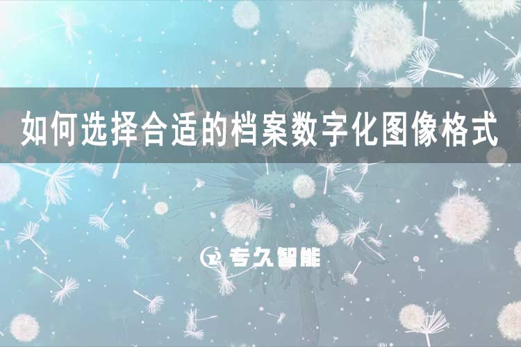 如何選擇合適的檔案數(shù)字化圖像格式？-專久智能
