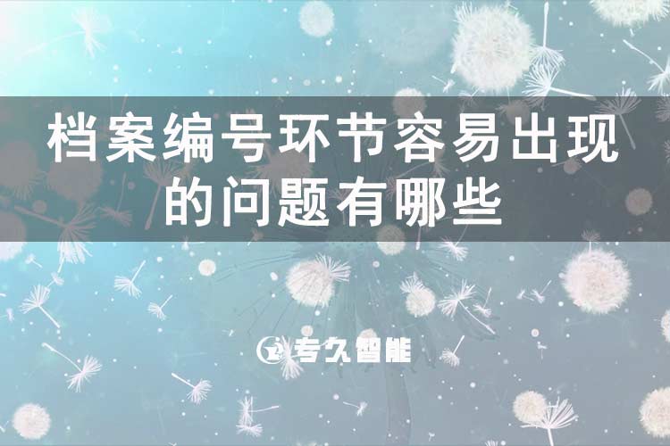 檔案編號環(huán)節(jié)容易出現(xiàn)的問題有哪些-玖拓智能